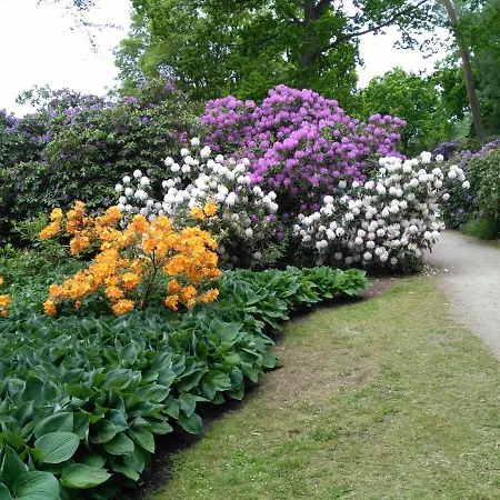 Moorhexe Appartamento *