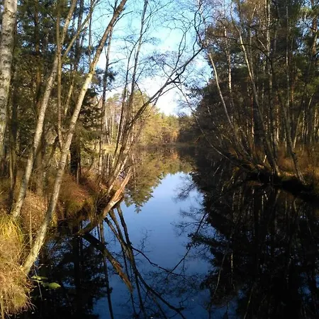 Moorhexe Gelbensande