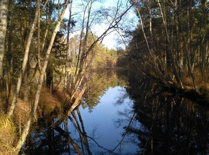 Moorhexe Gelbensande